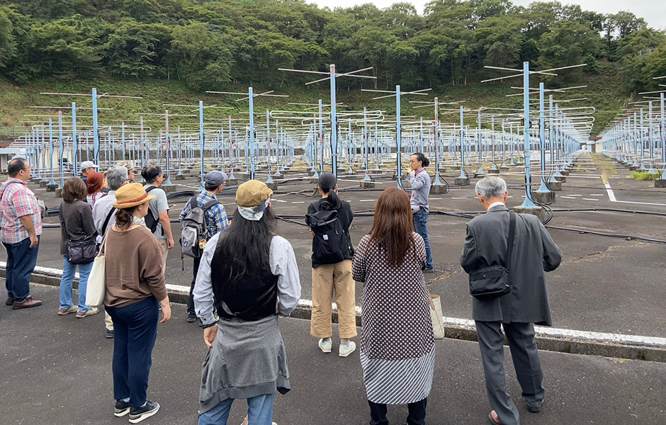 文章を入れてください