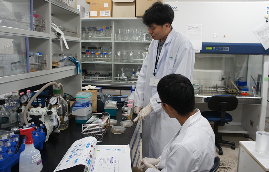 文章を入れてください