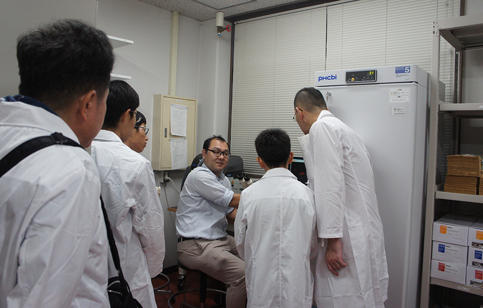 文章を入れてください