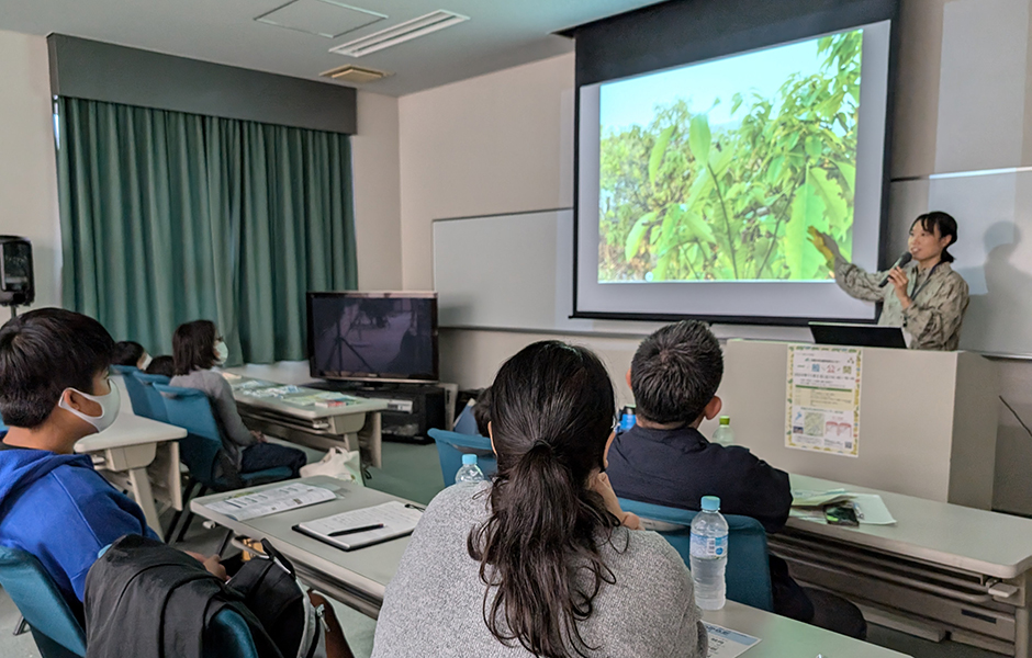文章を入れてください