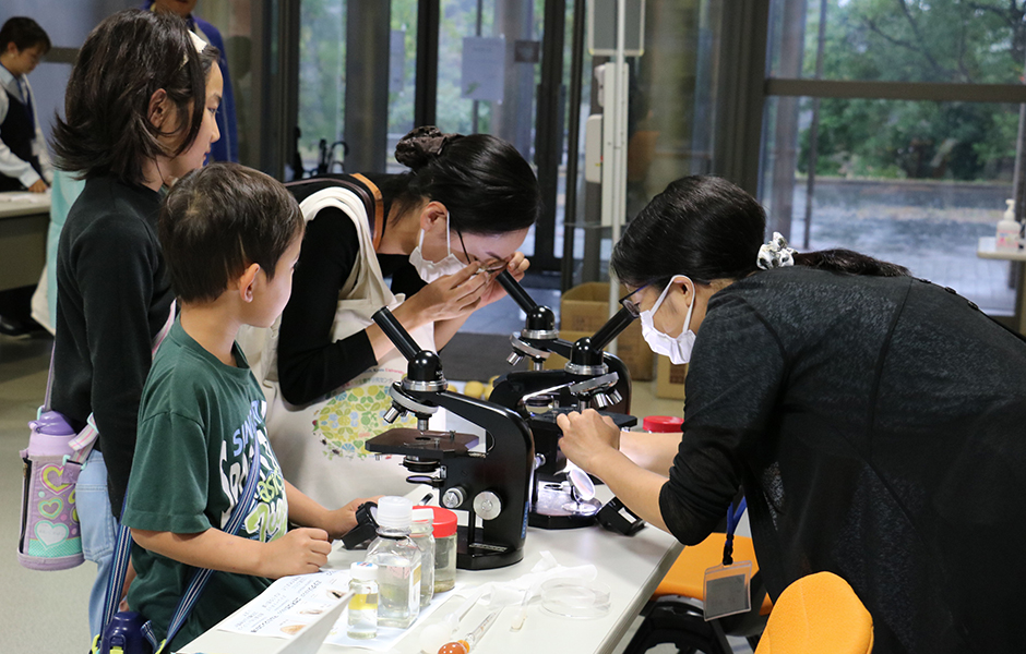 文章を入れてください