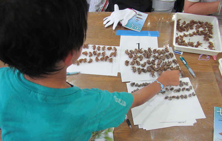 文章を入れてください