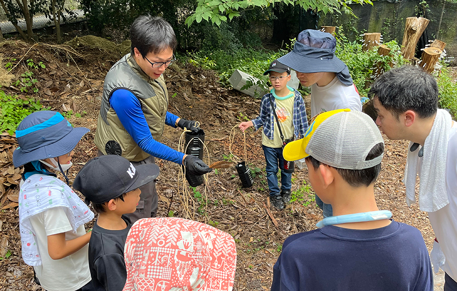 文章を入れてください