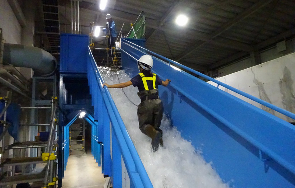 文章を入れてください