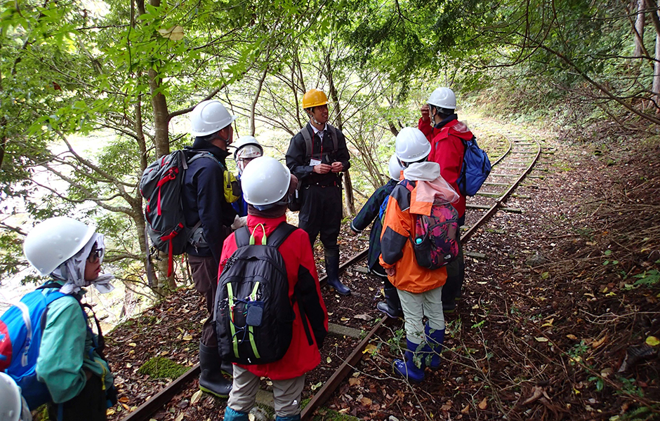 文章を入れてください