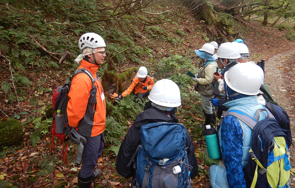 文章を入れてください