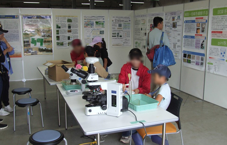 文章を入れてください