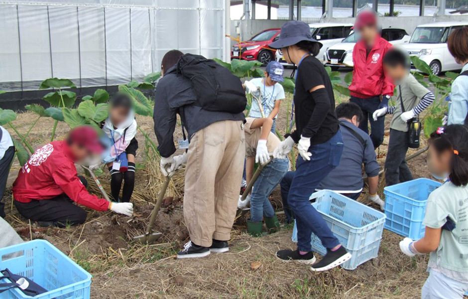 文章を入れてください