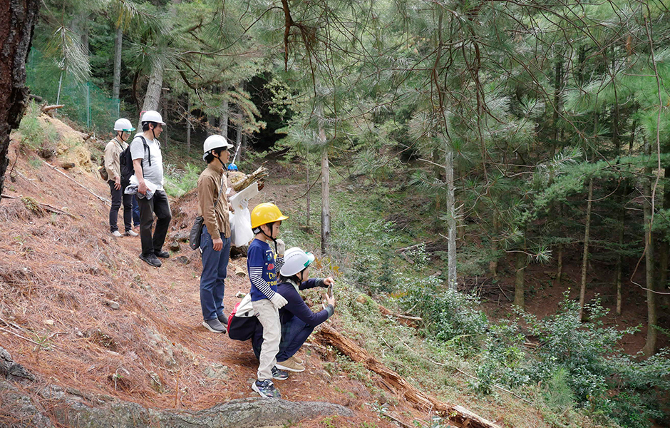 文章を入れてください
