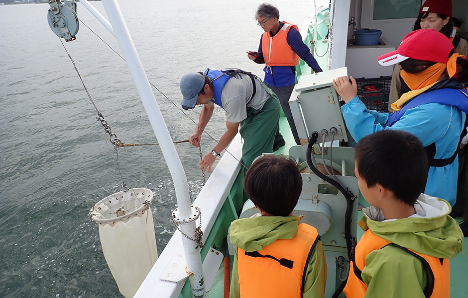 文章を入れてください