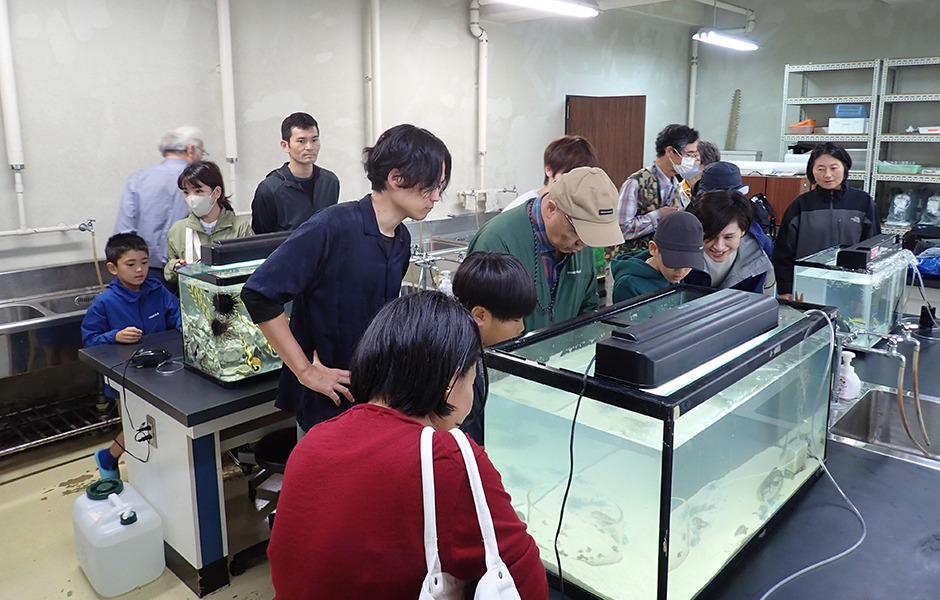 文章を入れてください