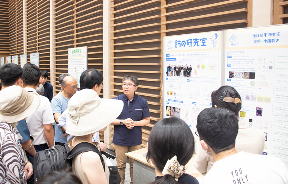 文章を入れてください