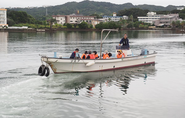 文章を入れてください