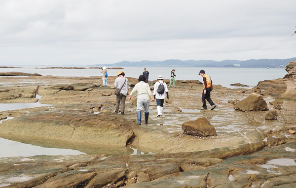 文章を入れてください