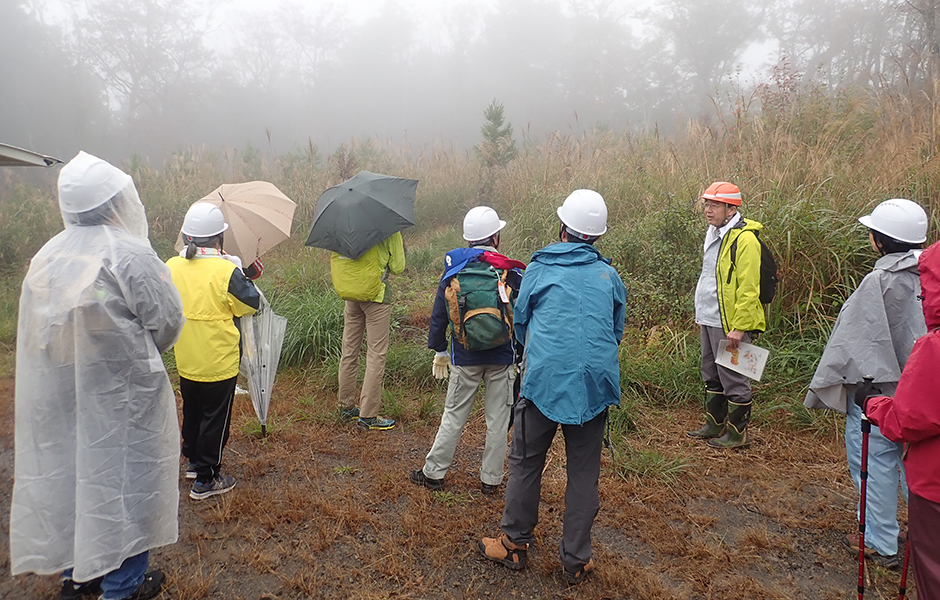 文章を入れてください
