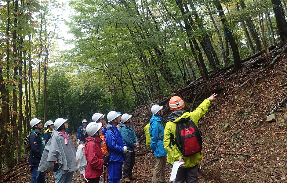 文章を入れてください