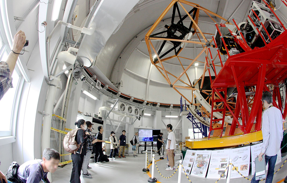 文章を入れてください