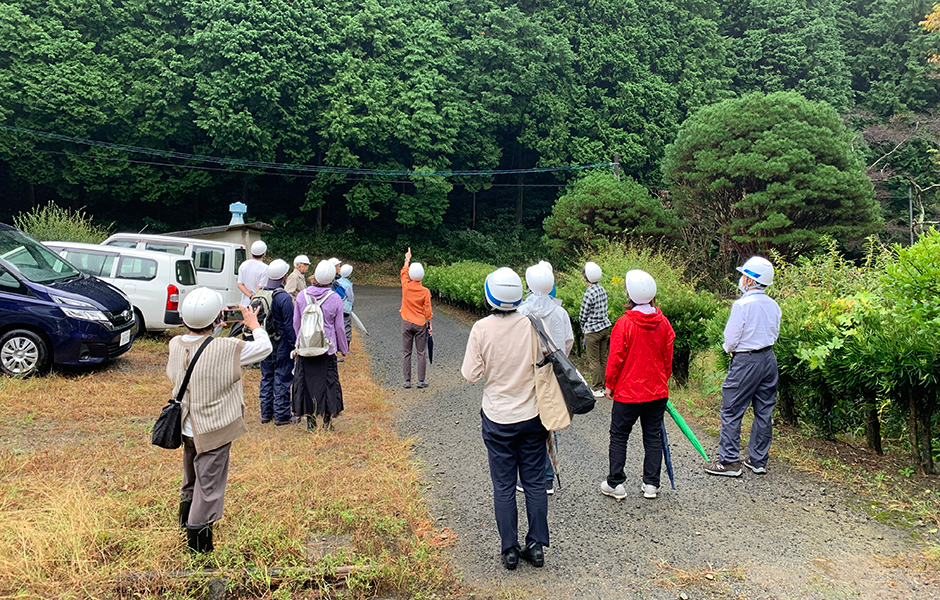 文章を入れてください