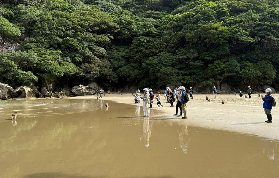 文章を入れてください