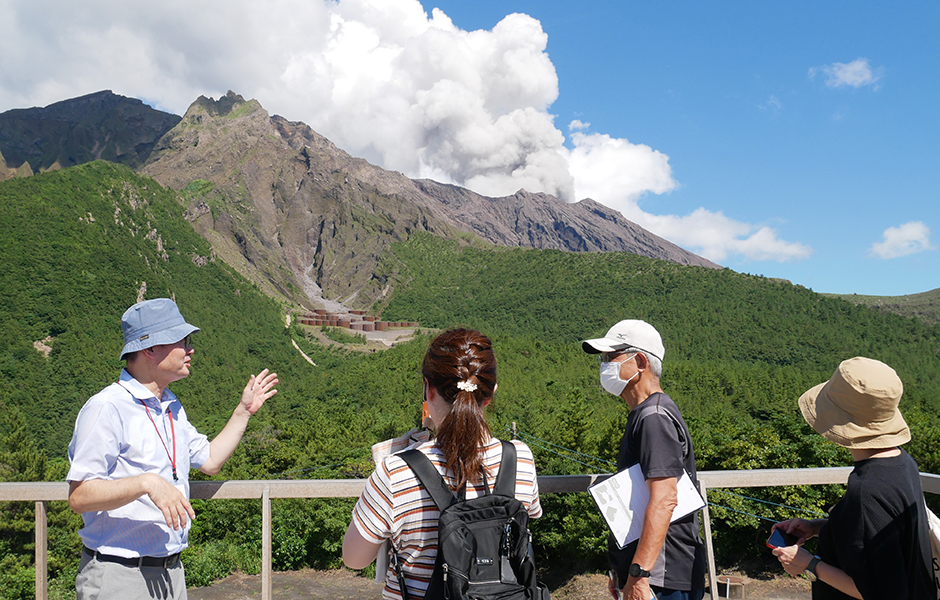 文章を入れてください