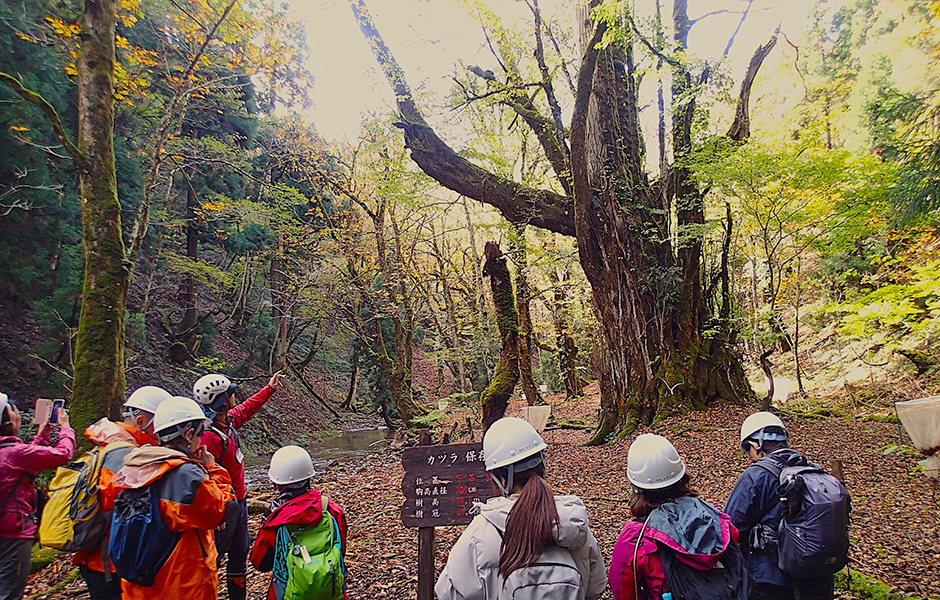 文章を入れてください