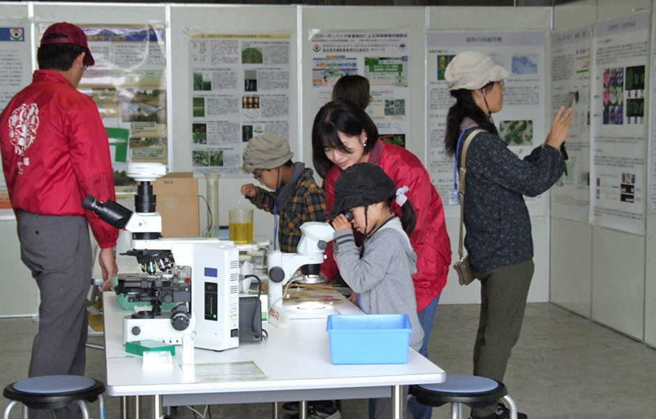 文章を入れてください