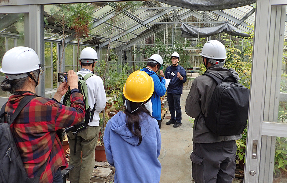 文章を入れてください