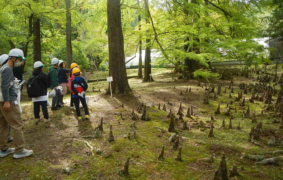 文章を入れてください