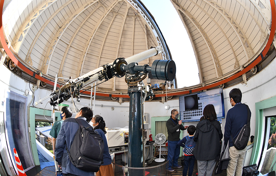 文章を入れてください