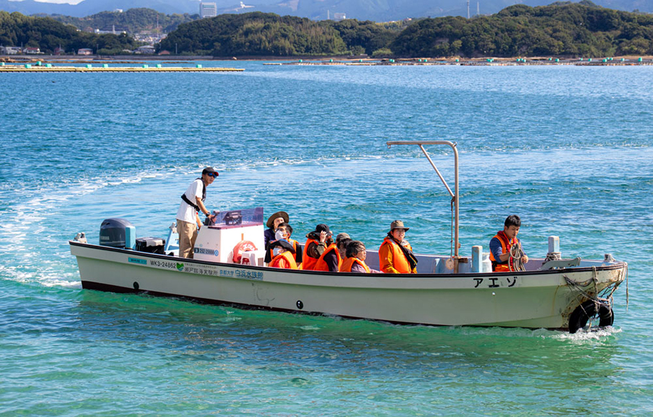 文章を入れてください