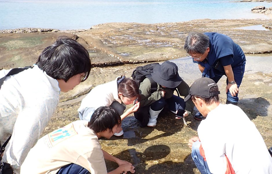 文章を入れてください