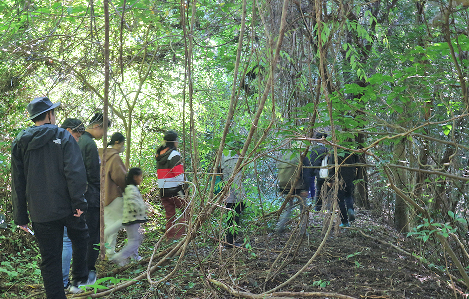 文章を入れてください