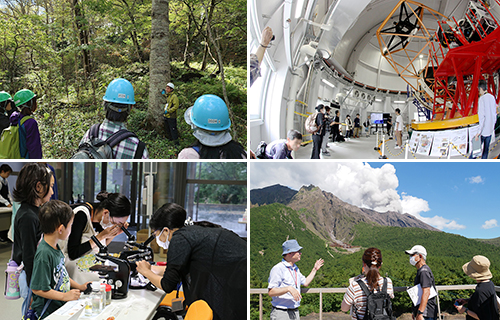 文章を入れてください