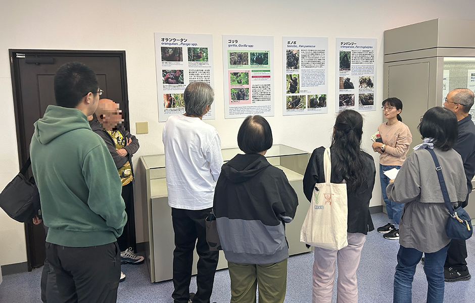 文章を入れてください