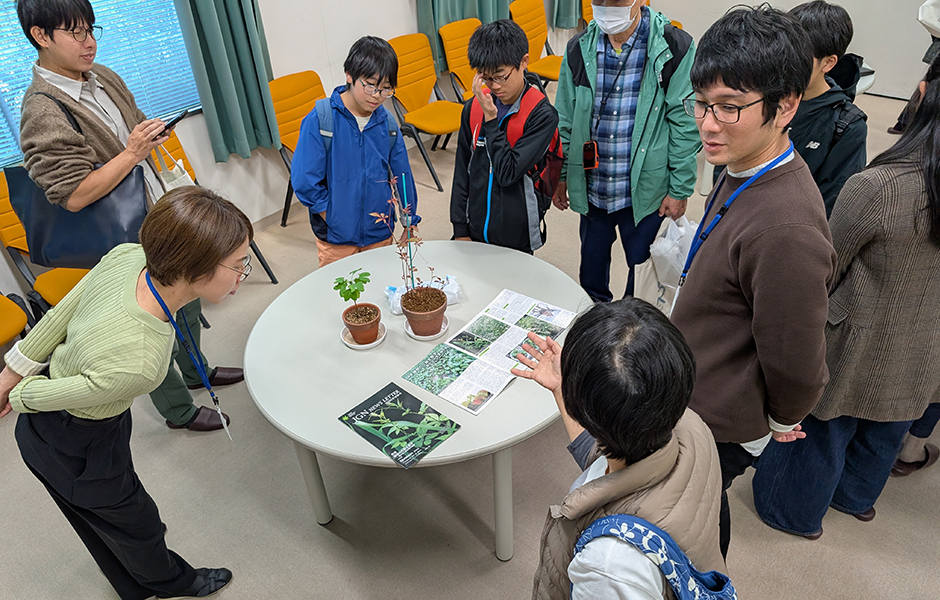 文章を入れてください