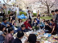  Having a toast at the beginning of the picnic