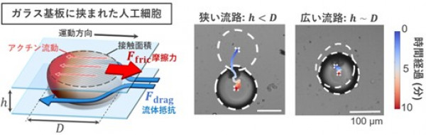 文章を入れてください