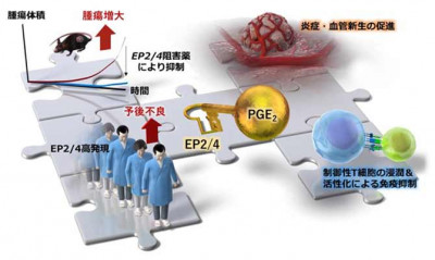 文章を入れてください