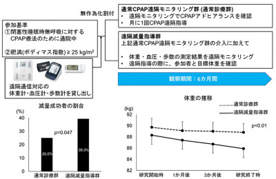 文章を入れてください