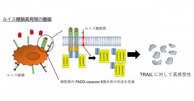 文章を入れてください