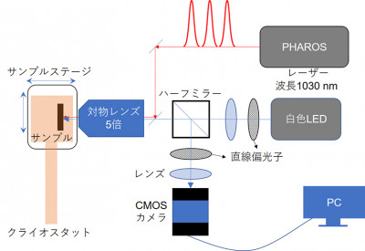 文章を入れてください