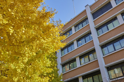 文章を入れてください