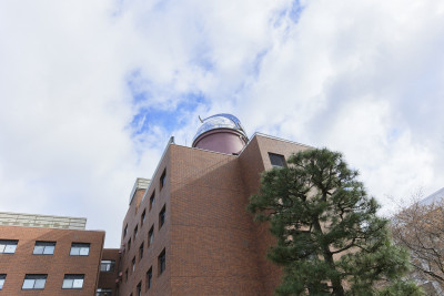 文章を入れてください