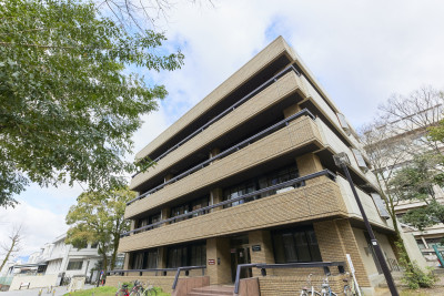 文章を入れてください