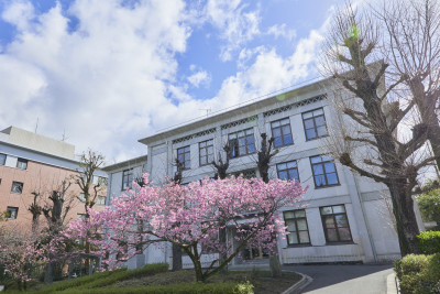 文章を入れてください