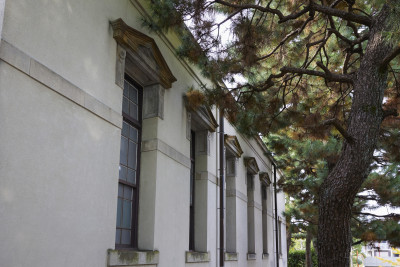 文章を入れてください