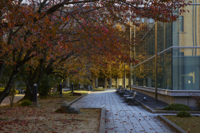 文章を入れてください