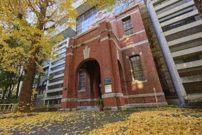 文章を入れてください