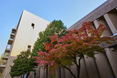 文章を入れてください