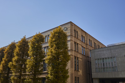 文章を入れてください